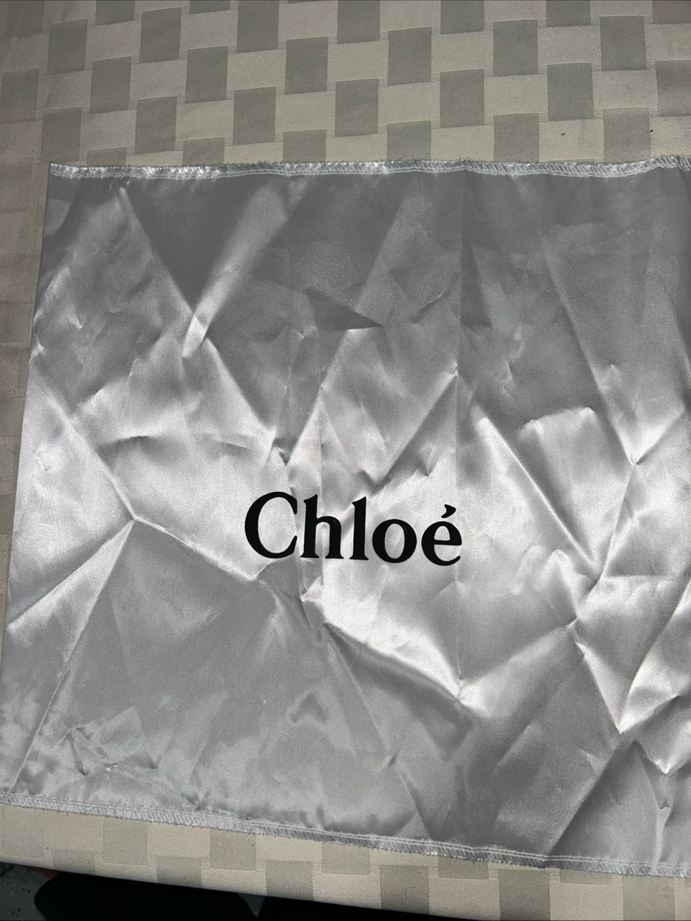 Chloé Branded Satin Dust Bag in White